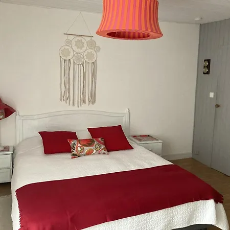 Duplex Atypique Avec Terrasse A 400m De La Et Du Centre - Fr-1-361-333